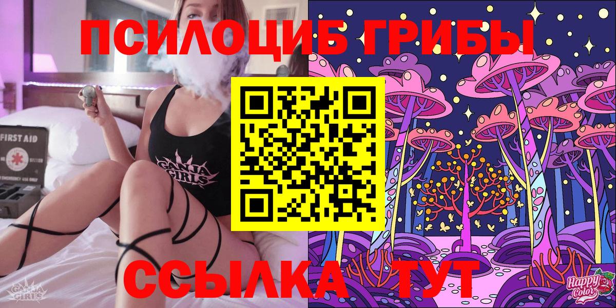 Кулебаки  Галлюциногенные грибы Psilocybine cubensis  Вход с VPN 